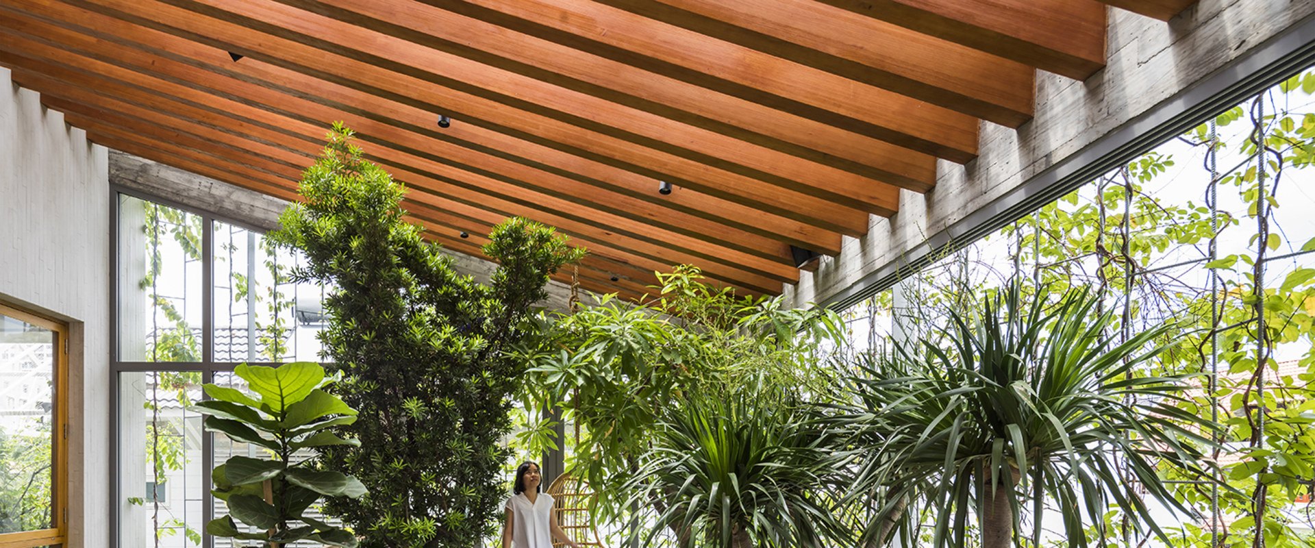 Biophilic Design: Bringing Nature Inside