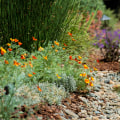 Transform Your Outdoor Space with Native Landscaping for Water Efficiency