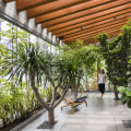 Biophilic Design: Bringing Nature Inside