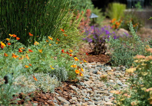 Transform Your Outdoor Space with Native Landscaping for Water Efficiency